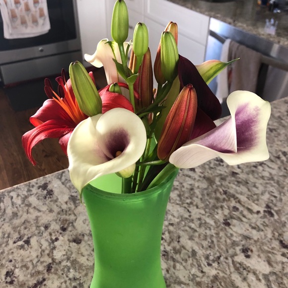 Meet your Posher, Stefanie - Picture 3 of 3